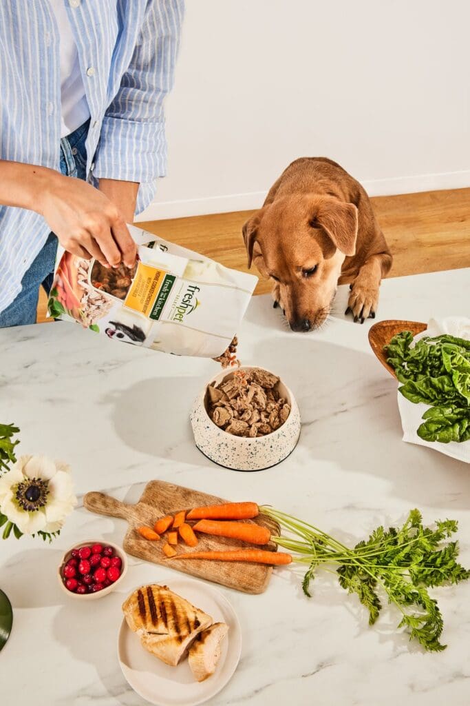 dog eating nutritious food